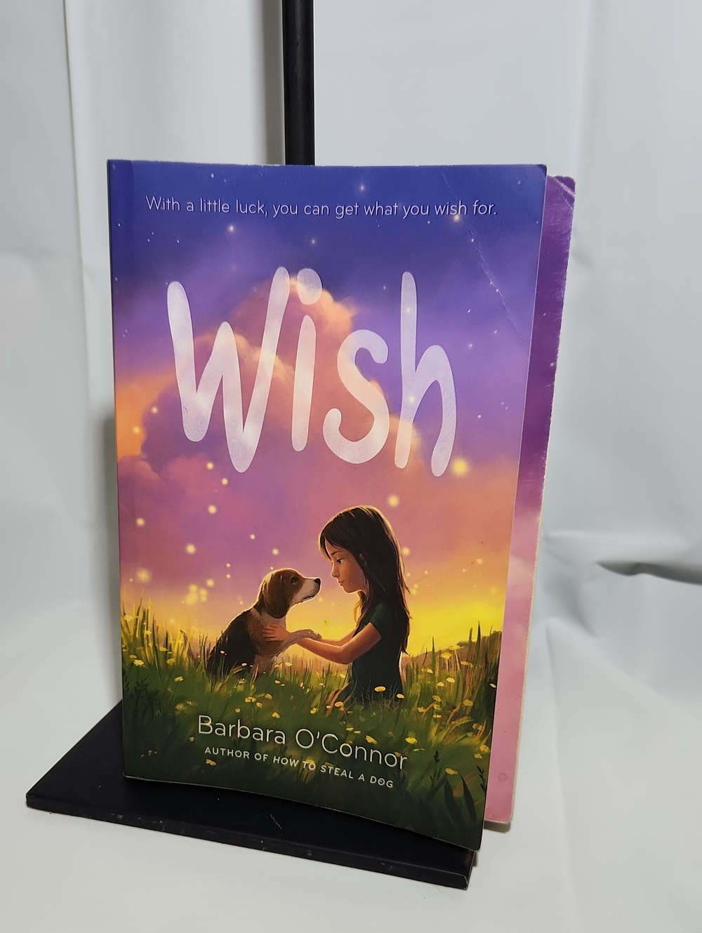 Wish by Barbara O'Connor - Purple & Yellow Cover